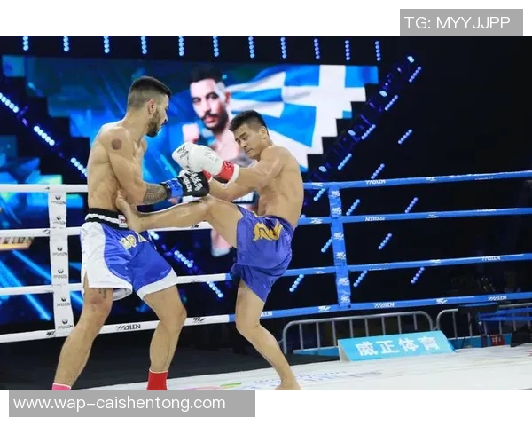 一龙与麦神猜的巅峰对决谁将成为搏击界的新王者